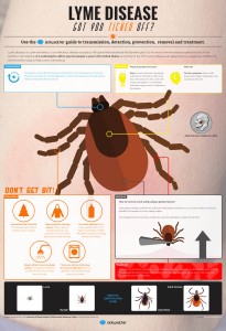 Sickweather-Lyme-Disease-infographic